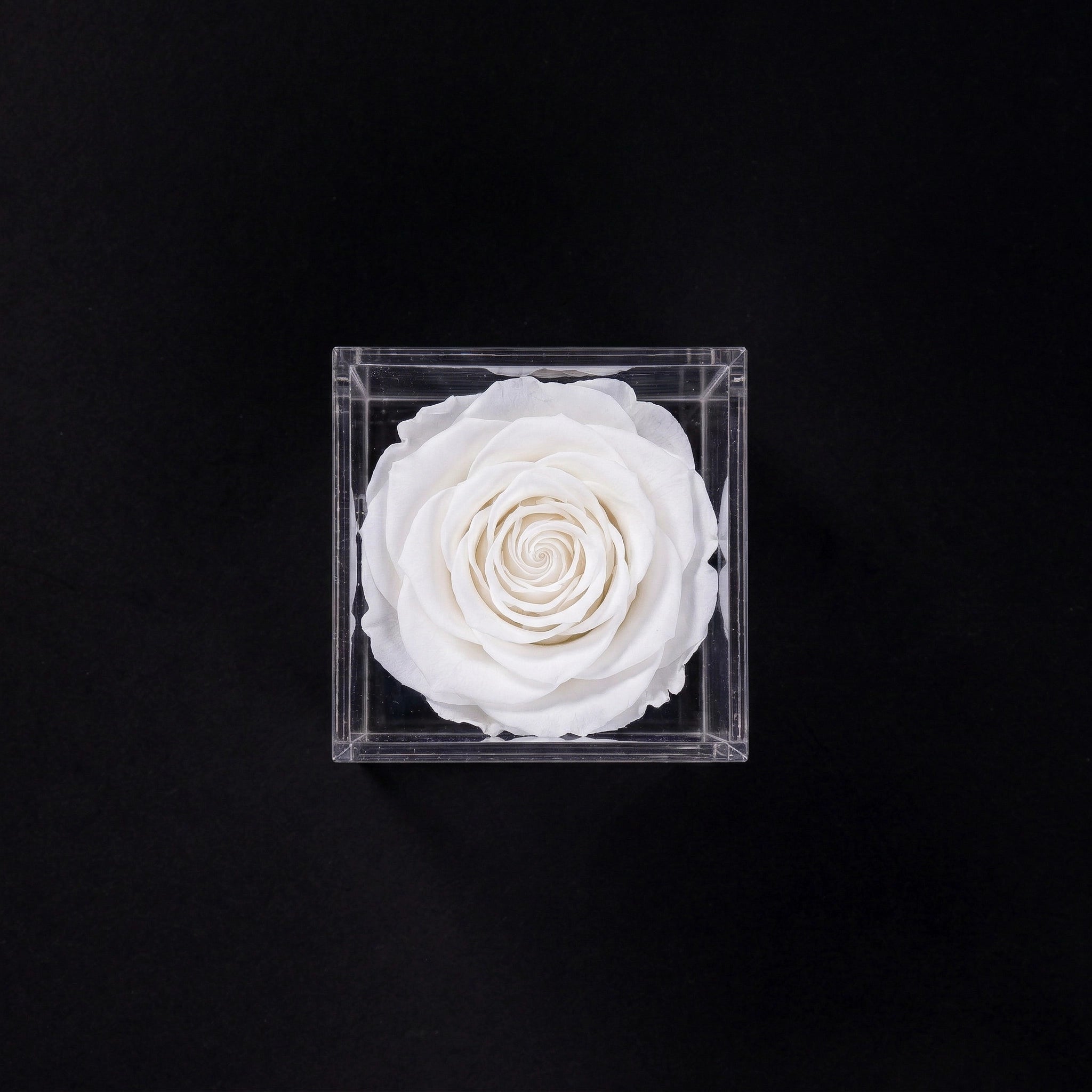Acrylic Single Rose Box