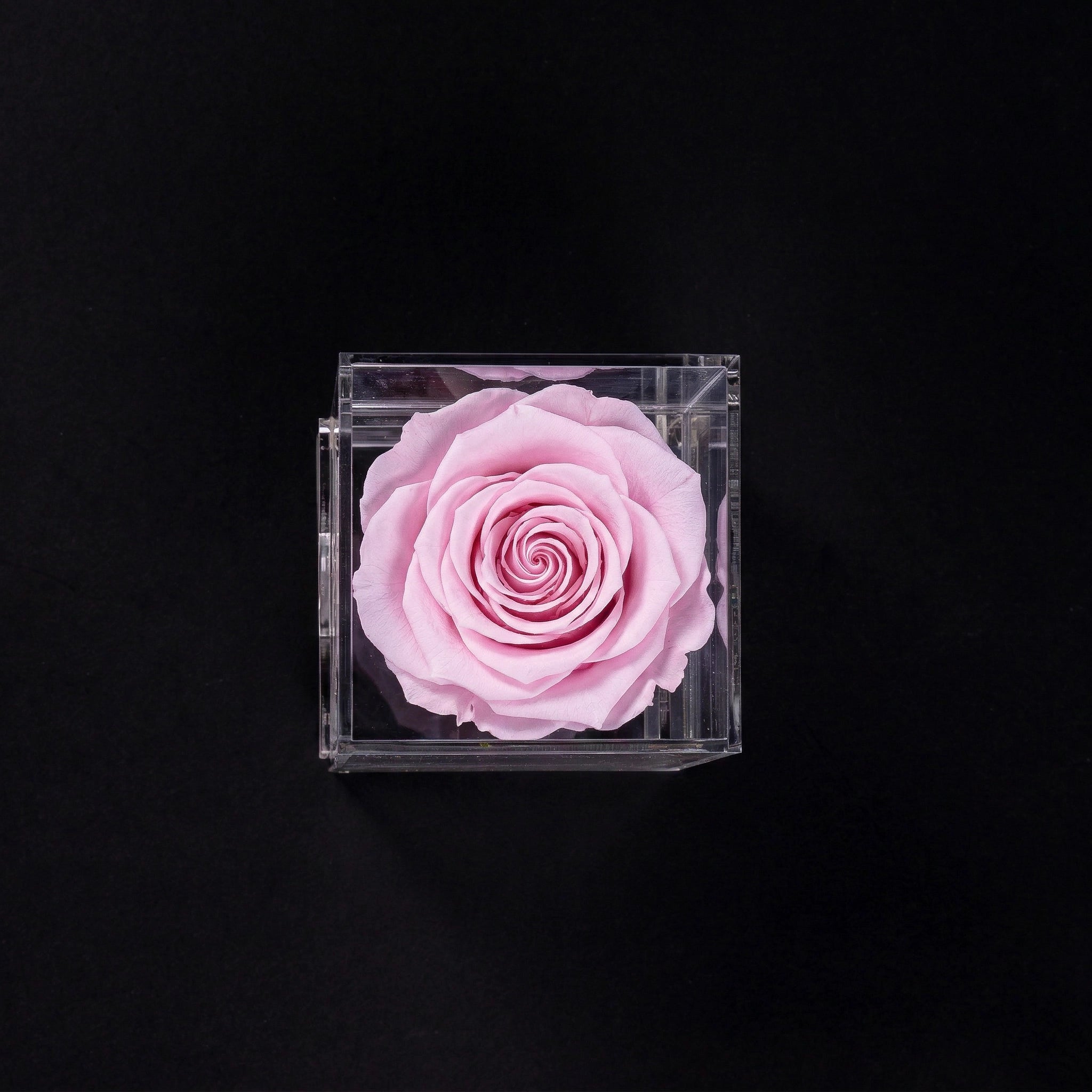 Acrylic Single Rose Box