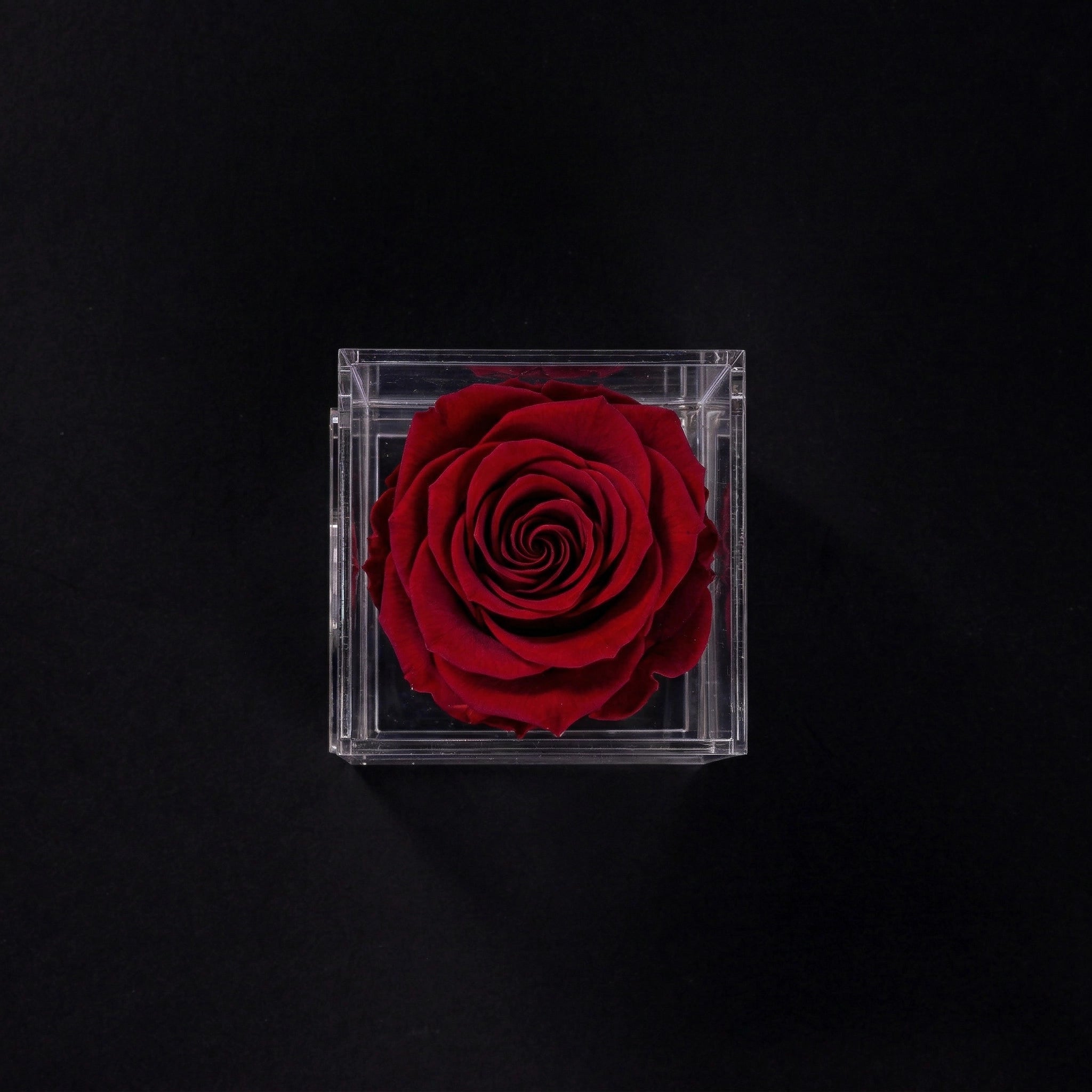 Acrylic Single Rose Box