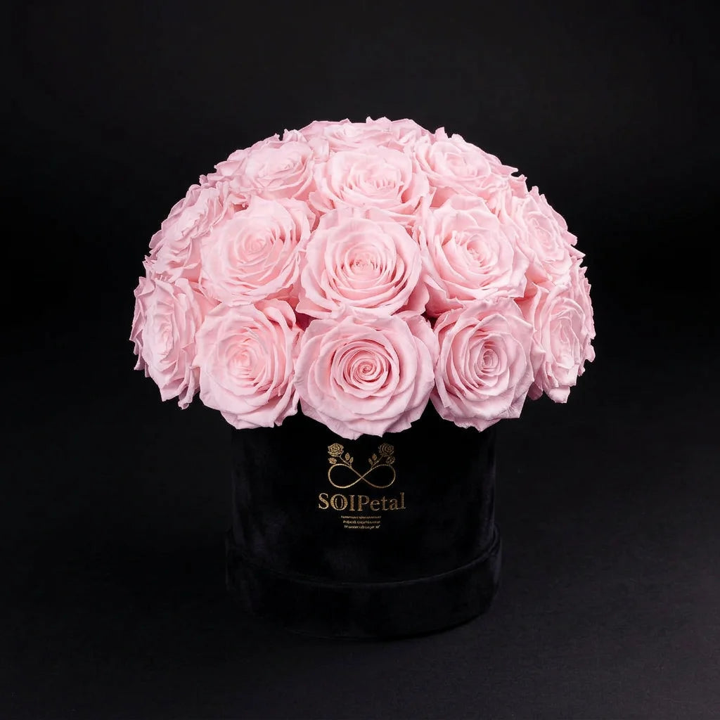 Eternal Roses - Small Dome