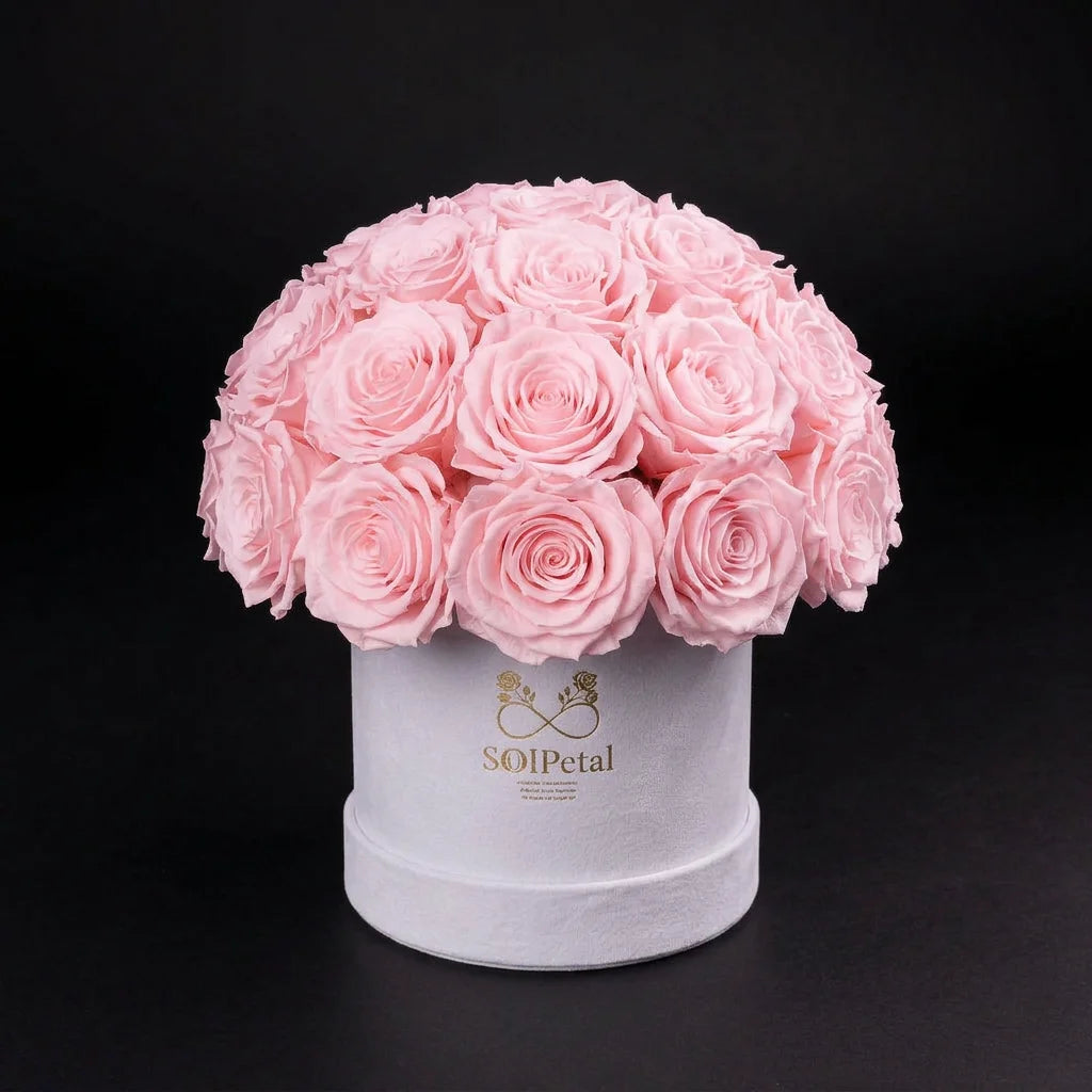 Eternal Roses - Small Dome