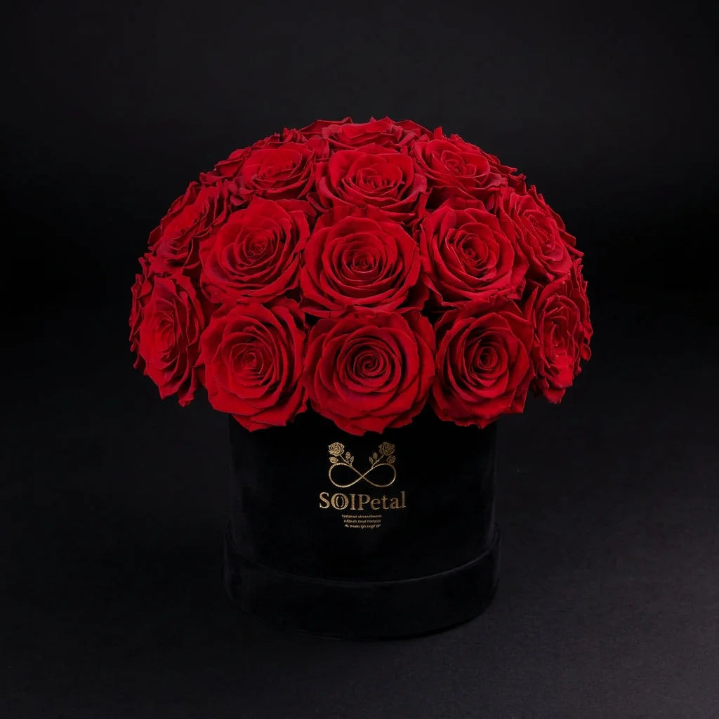 Eternal Roses - Small Dome