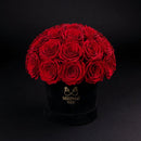 Eternal Roses - Small Dome