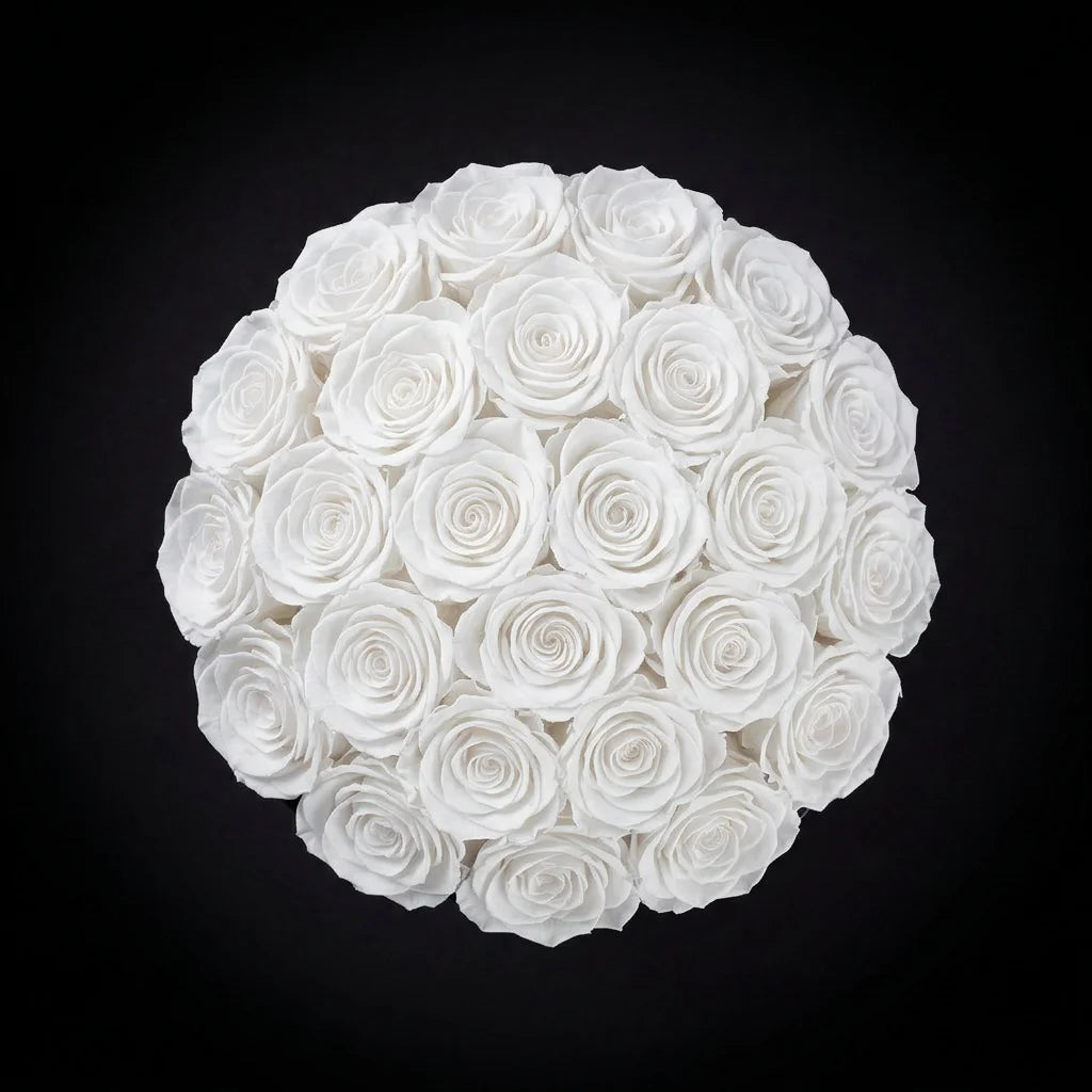 Eternal Roses - Small Dome