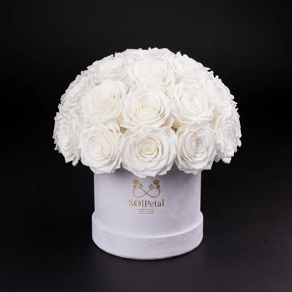 Eternal Roses - Small Dome