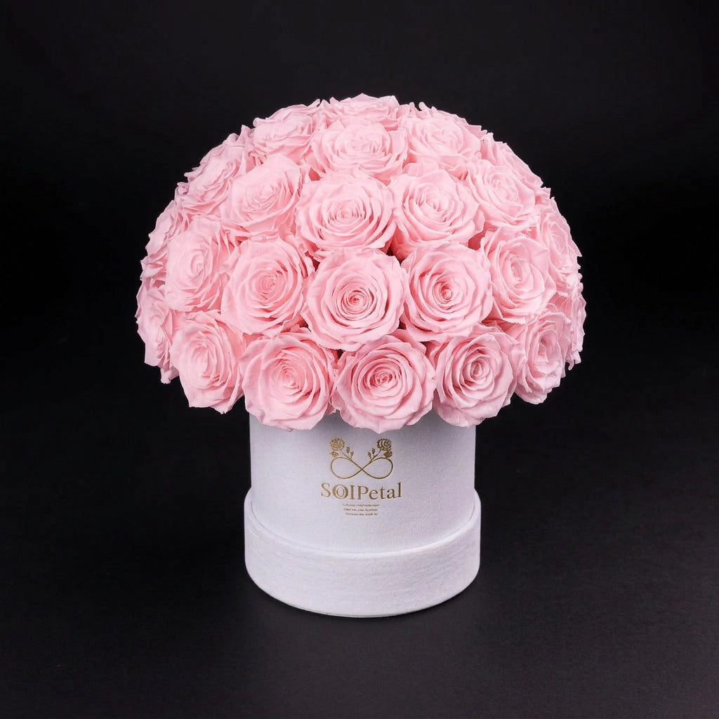Eternal Roses - Medium Dome
