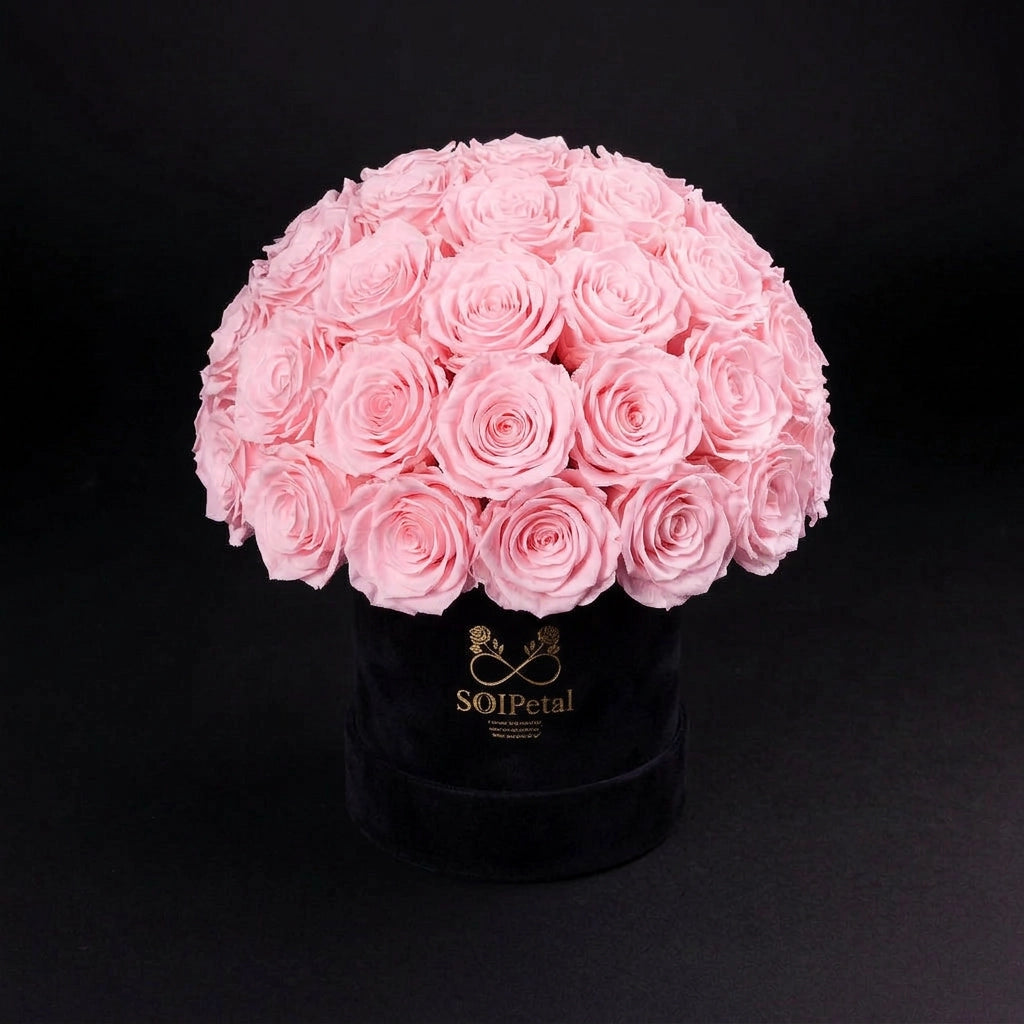 Eternal Roses - Medium Dome