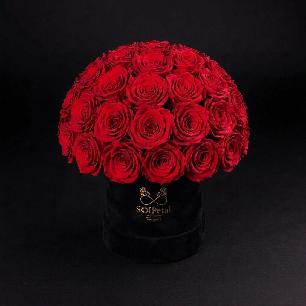 Eternal Roses - Medium Dome