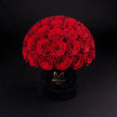 Eternal Roses - Medium Dome