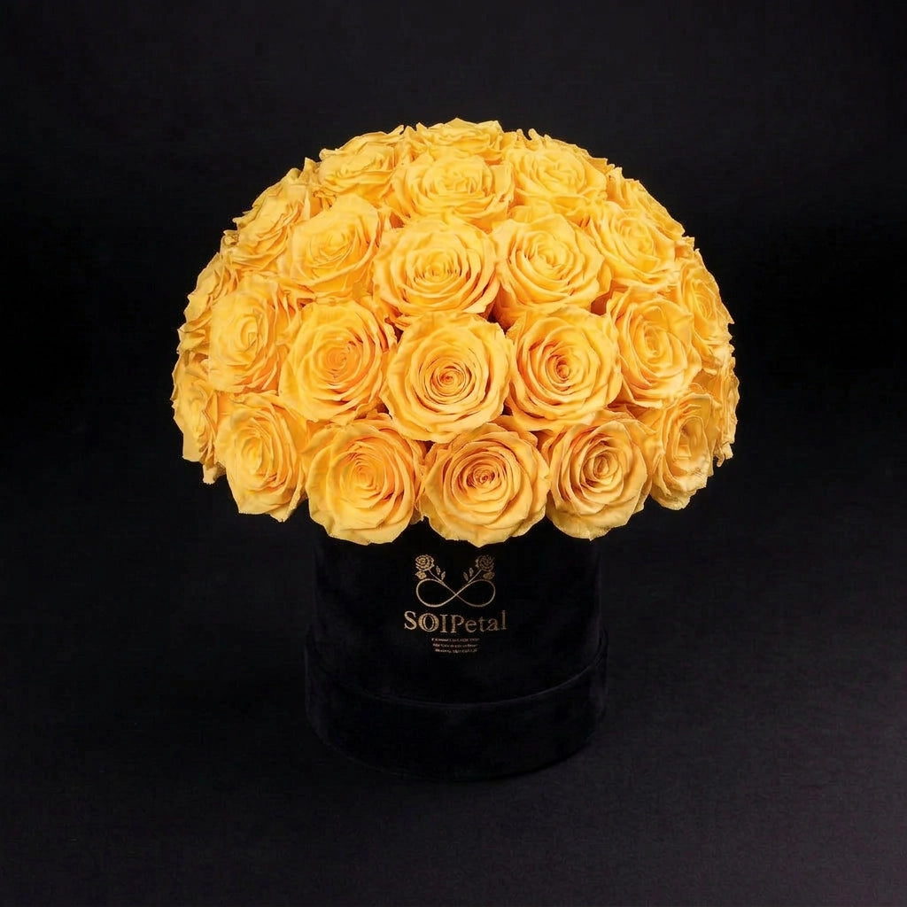 Eternal Roses - Medium Dome