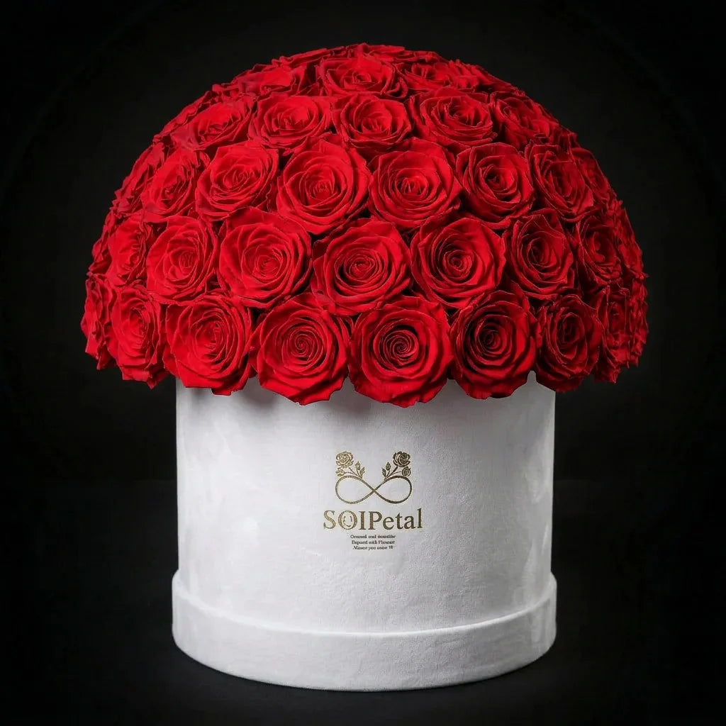 Eternal Roses - Extra Large Dome