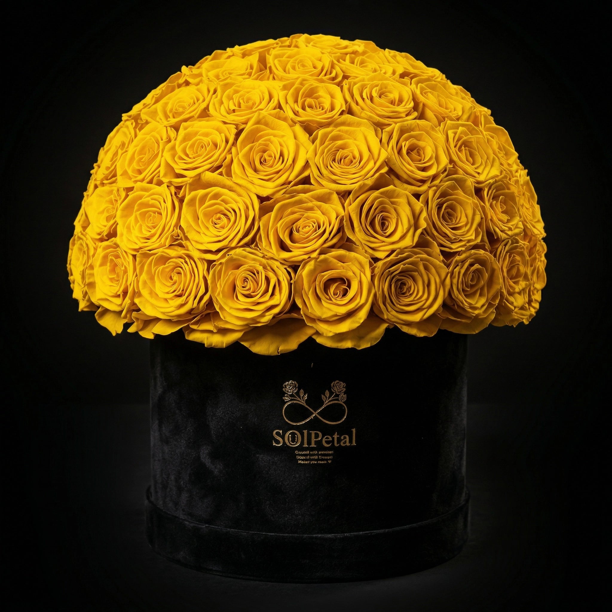 Eternal Roses - Extra Large Dome