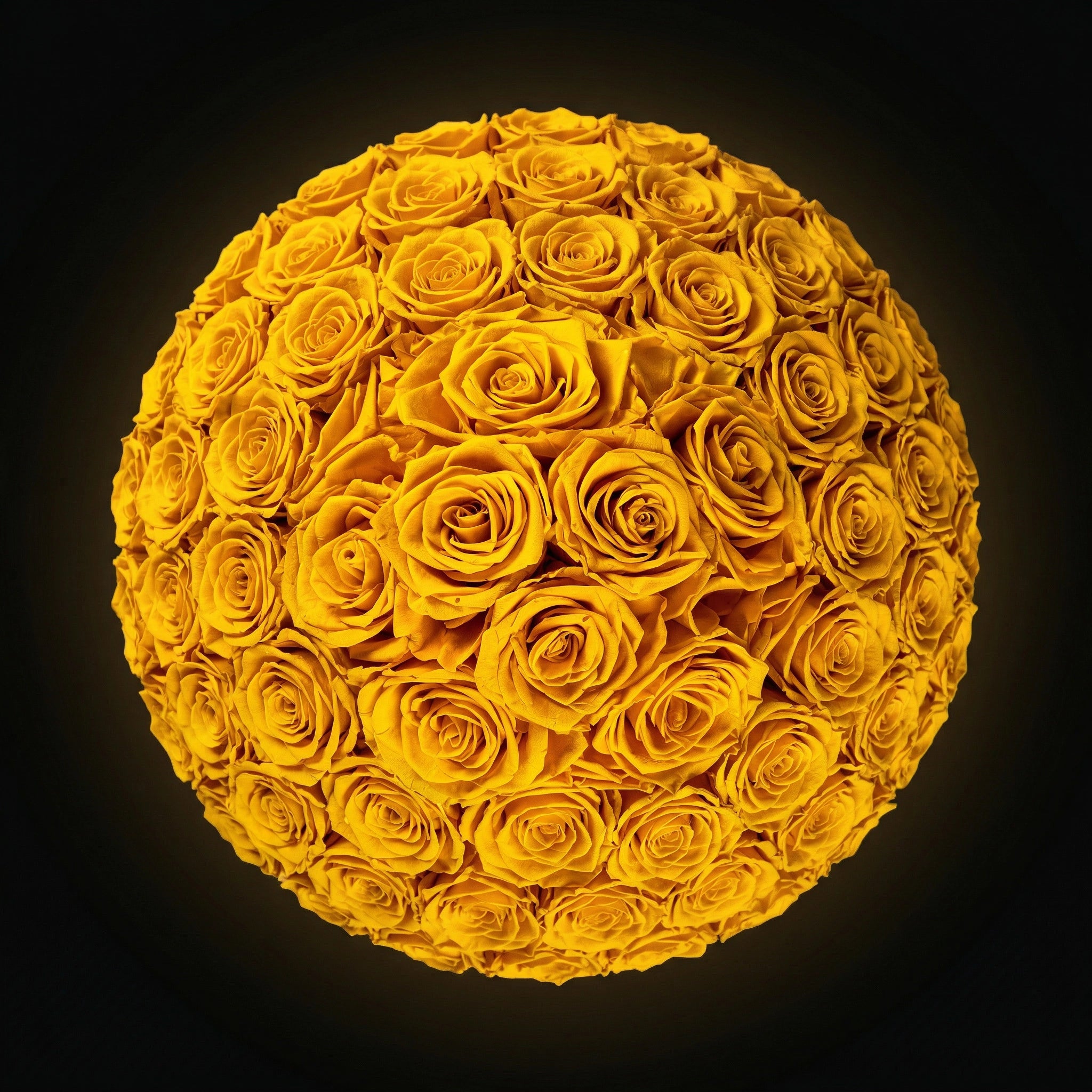 Eternal Roses - Extra Large Dome
