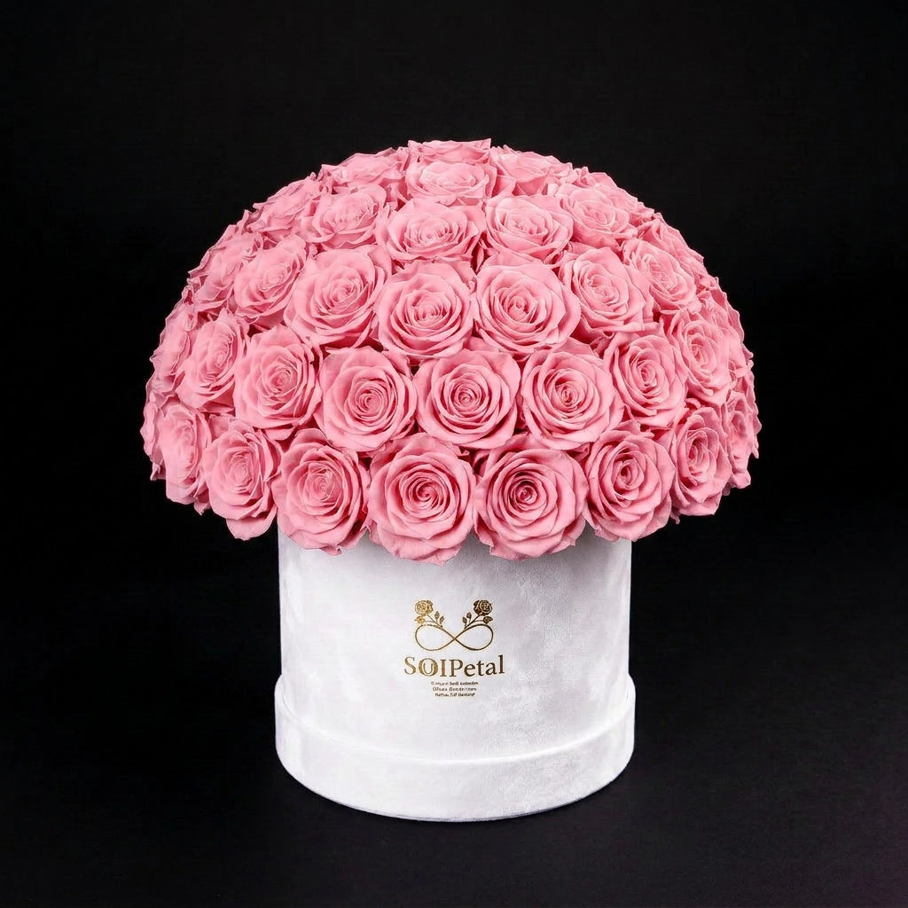 Eternal Roses - Large Dome