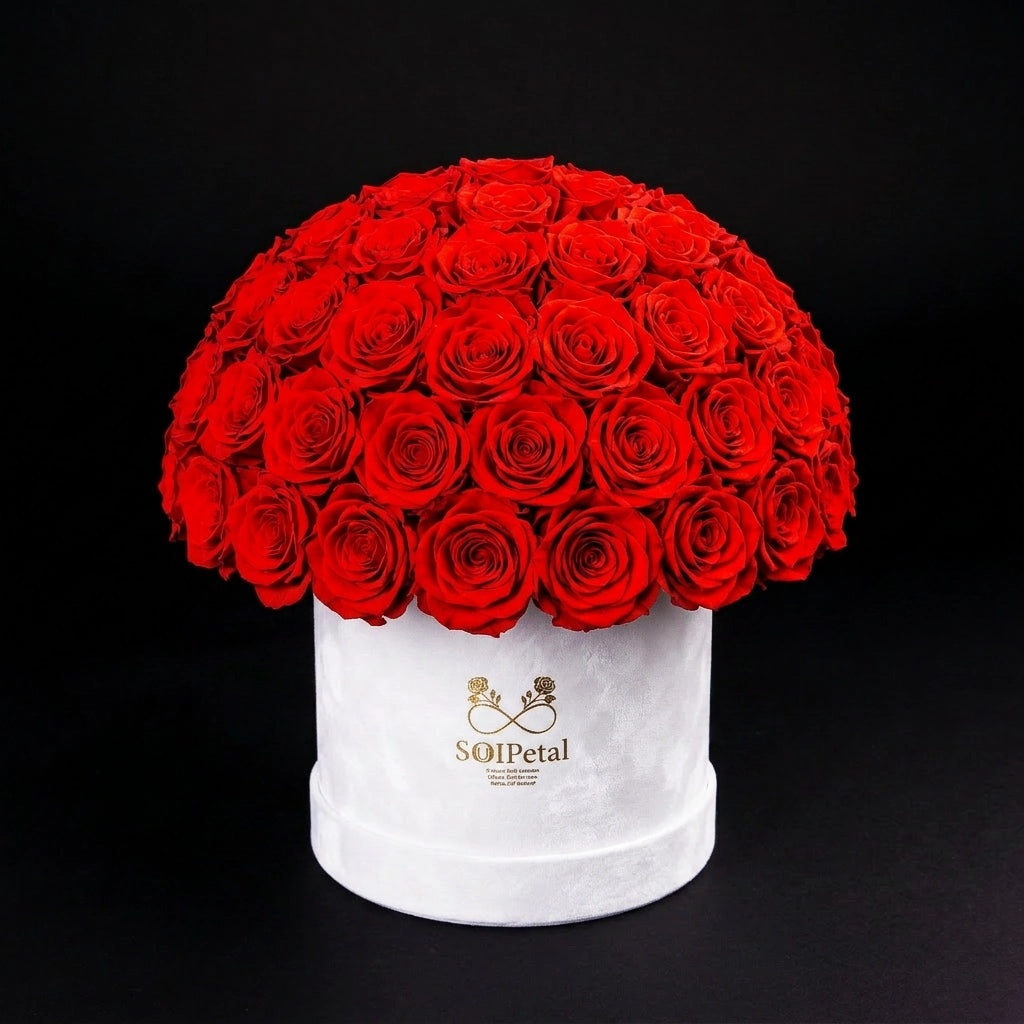 Eternal Roses - Large Dome