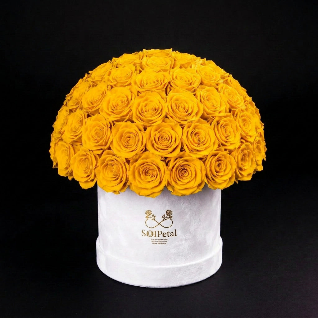 Eternal Roses - Large Dome