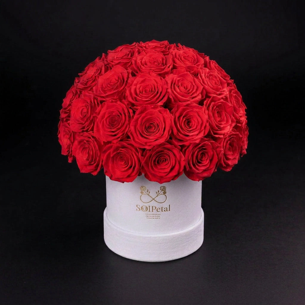 Eternal Roses - Medium Dome