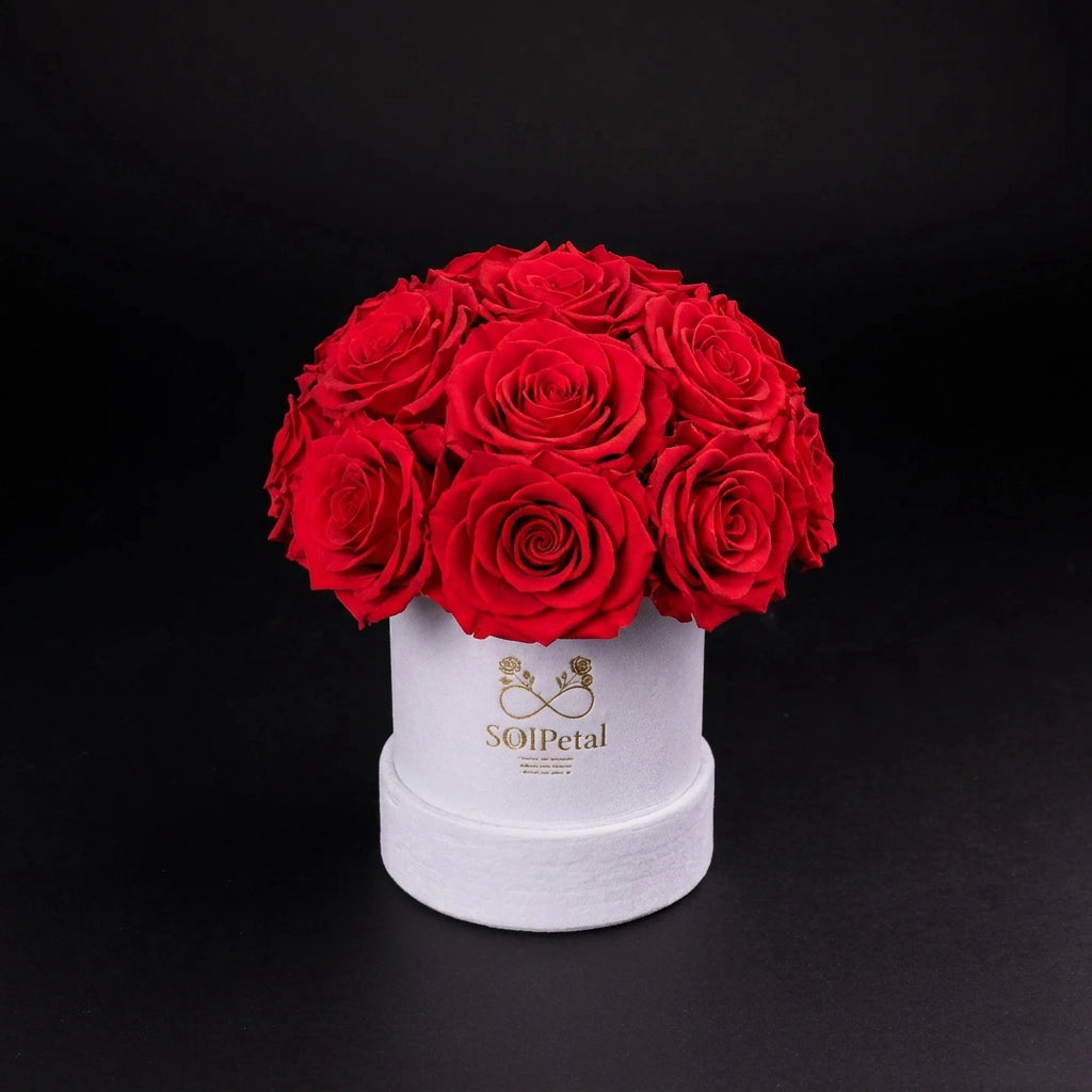 Eternal Roses - Petit Dome