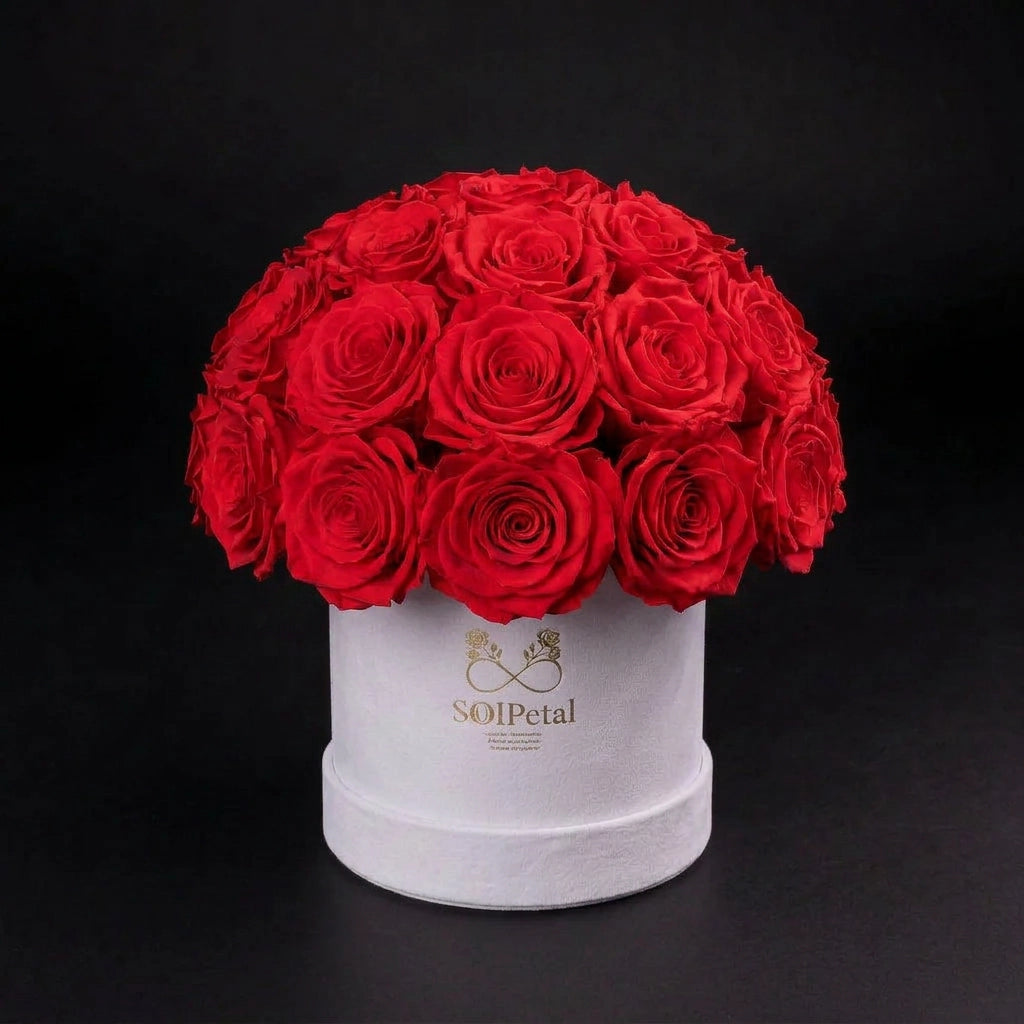 Eternal Roses - Small Dome