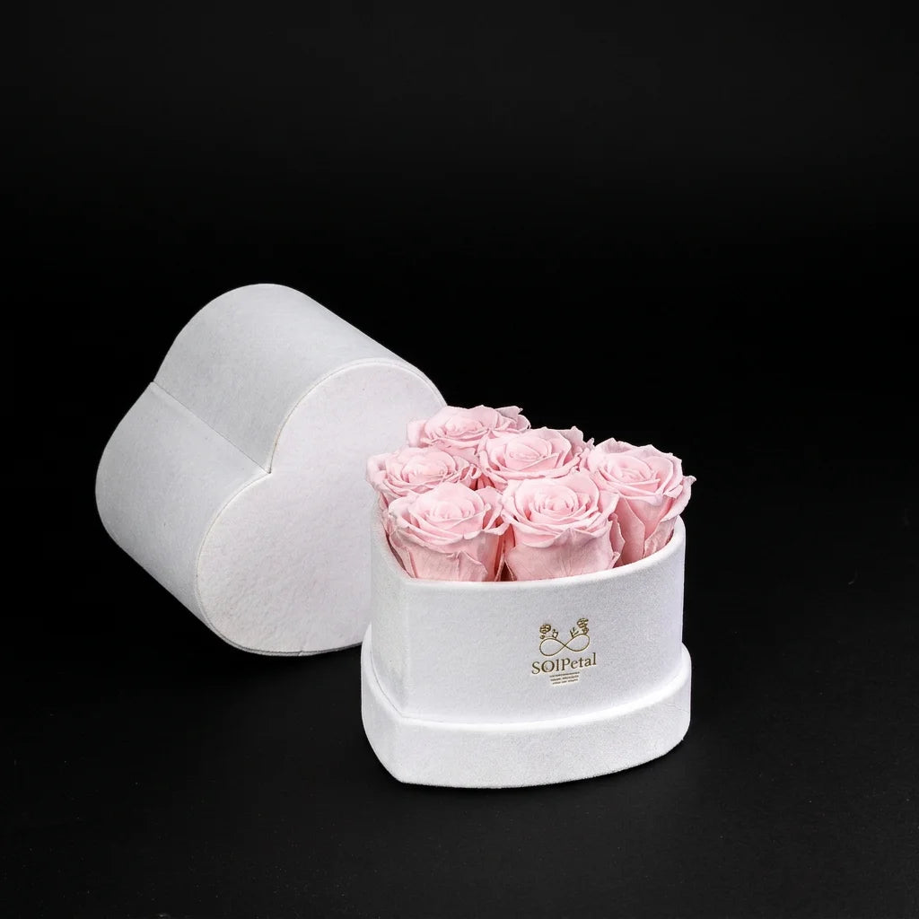 Eternal Roses - Petit Heart