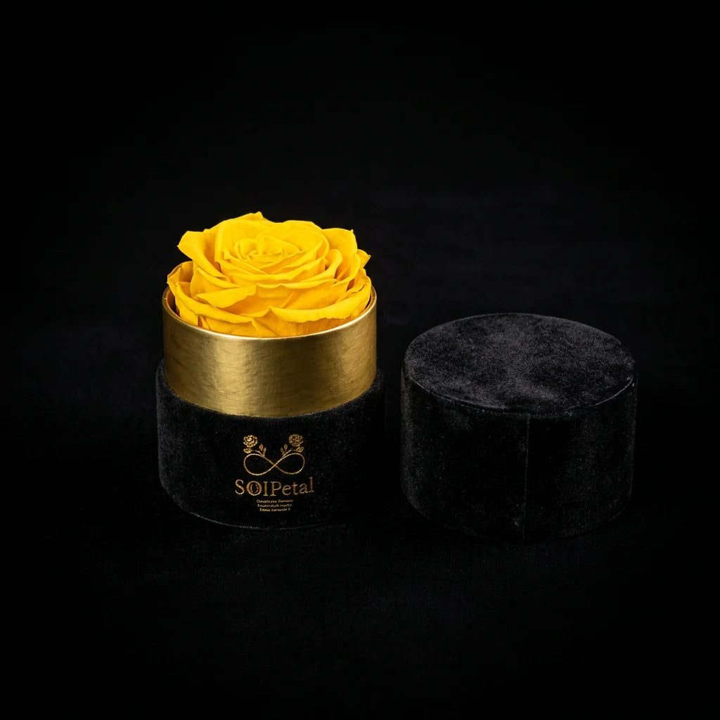 Eternal Roses - Petit Round