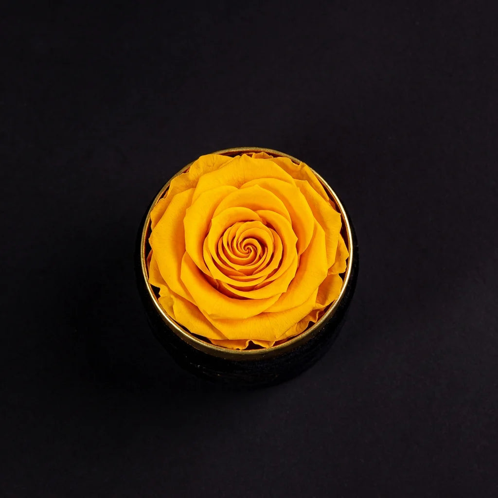 Eternal Roses - Petit Round