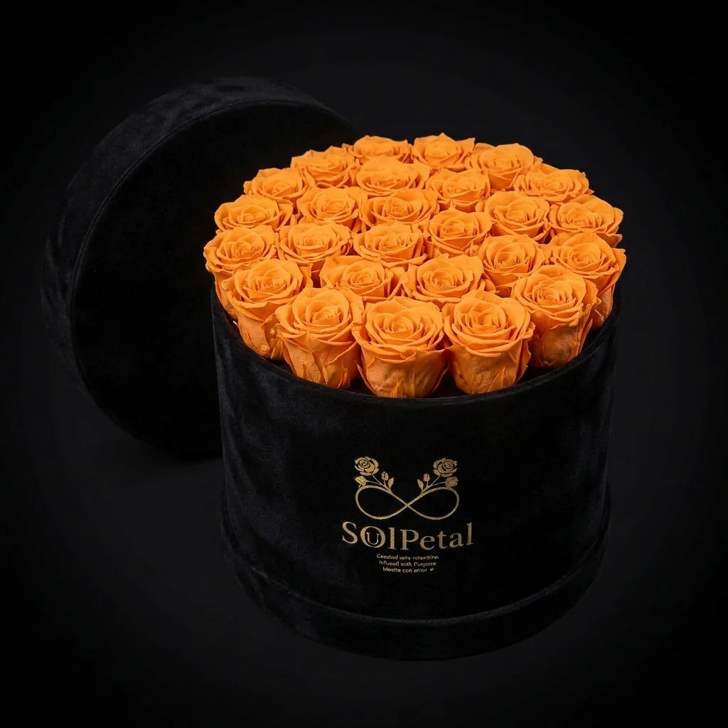 Eternal Roses -  Extra Large Round