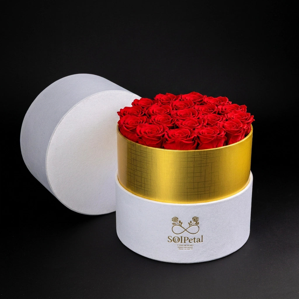 Eternal Roses -  Large Round