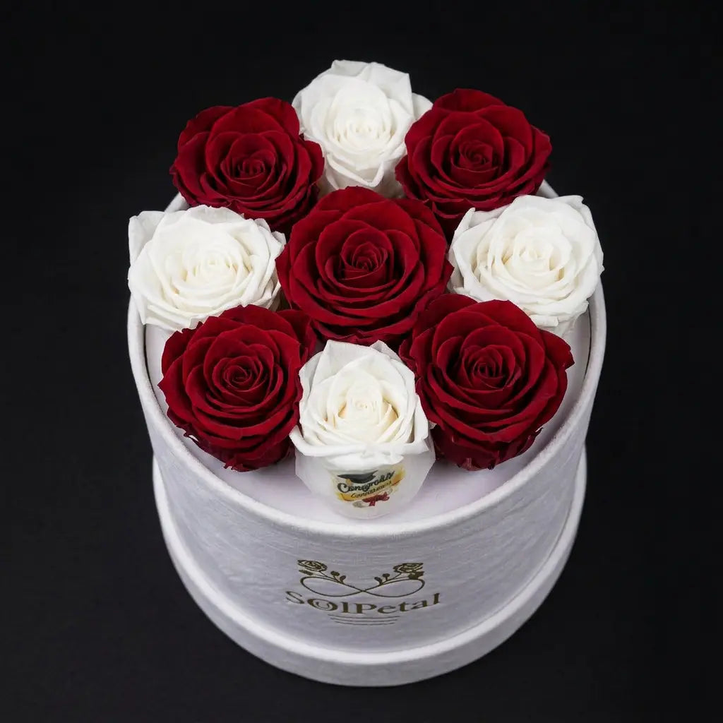Round white box filled with red and white roses on a black background
