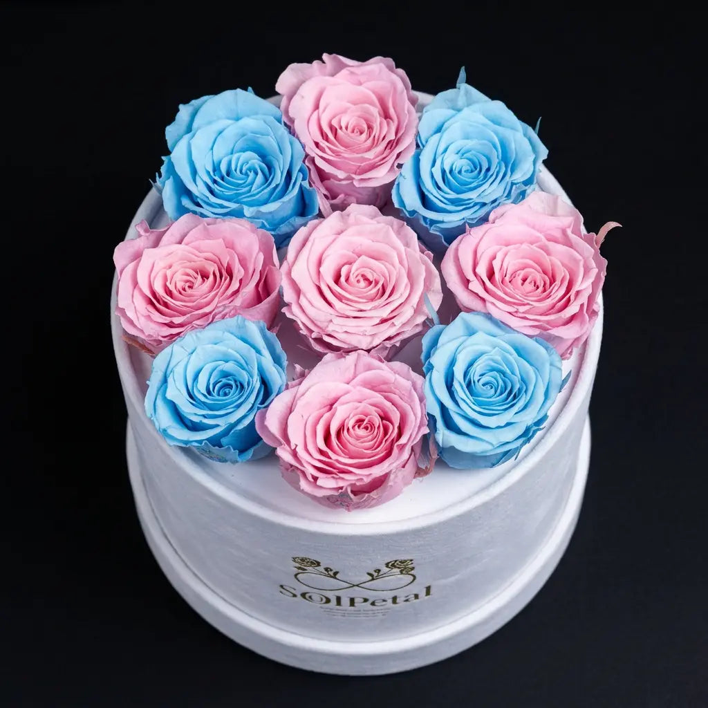 White round box filled with 5 pink and 4 blue roses on a black background