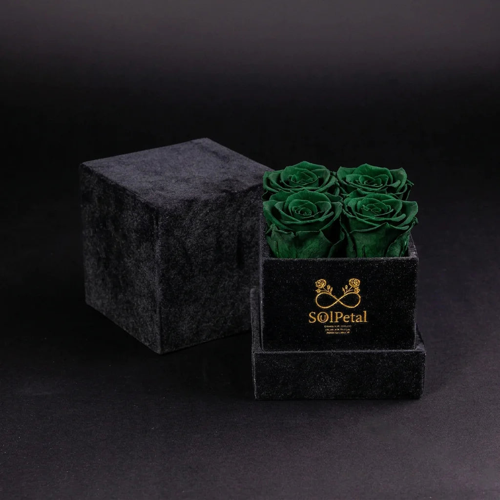 Eternal Roses - Petit Square