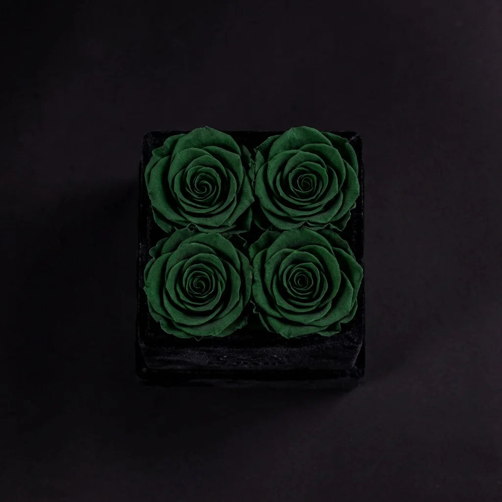 Eternal Roses - Petit Square