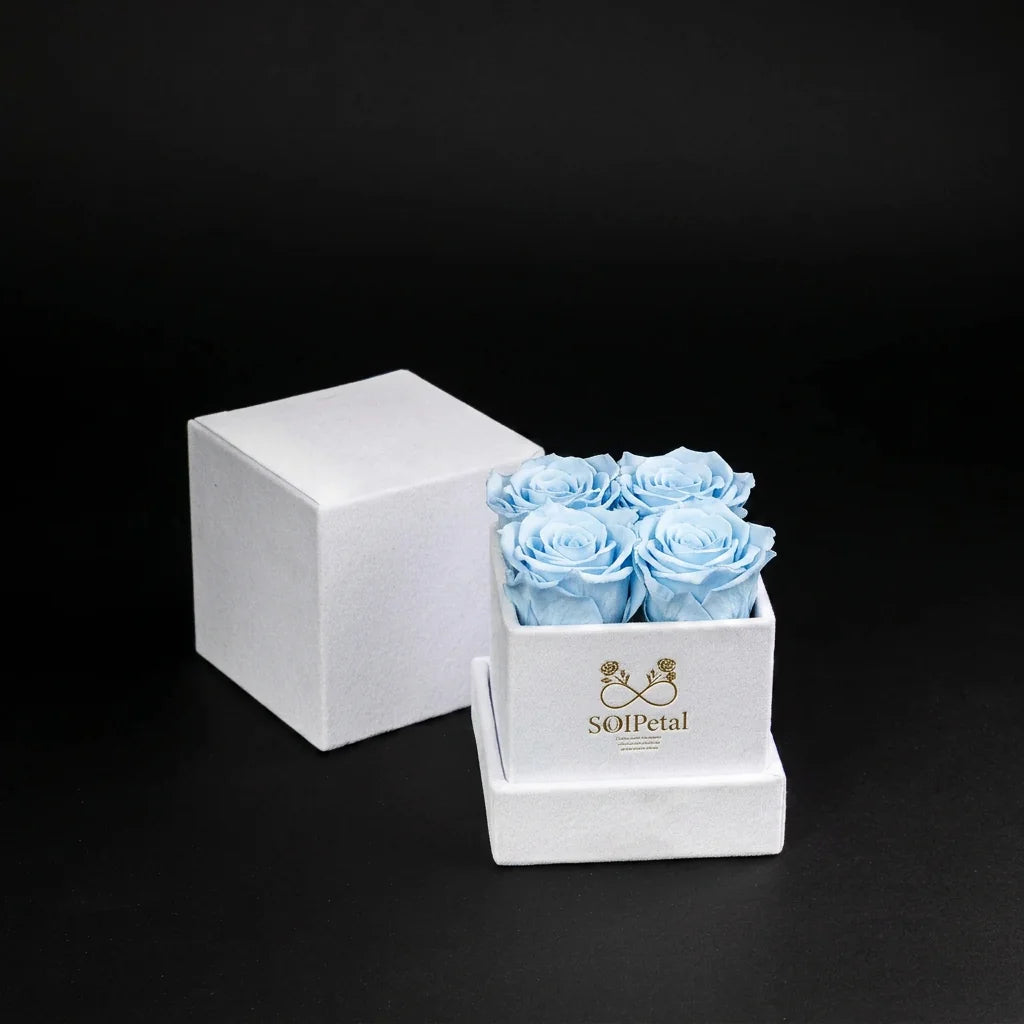 Eternal Roses - Petit Square