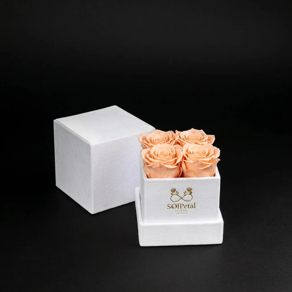 Eternal Roses - Petit Square
