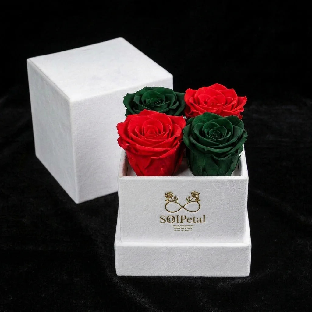 Eternal Roses - Petit Square