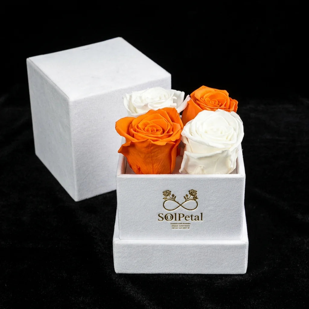 Eternal Roses - Petit Square