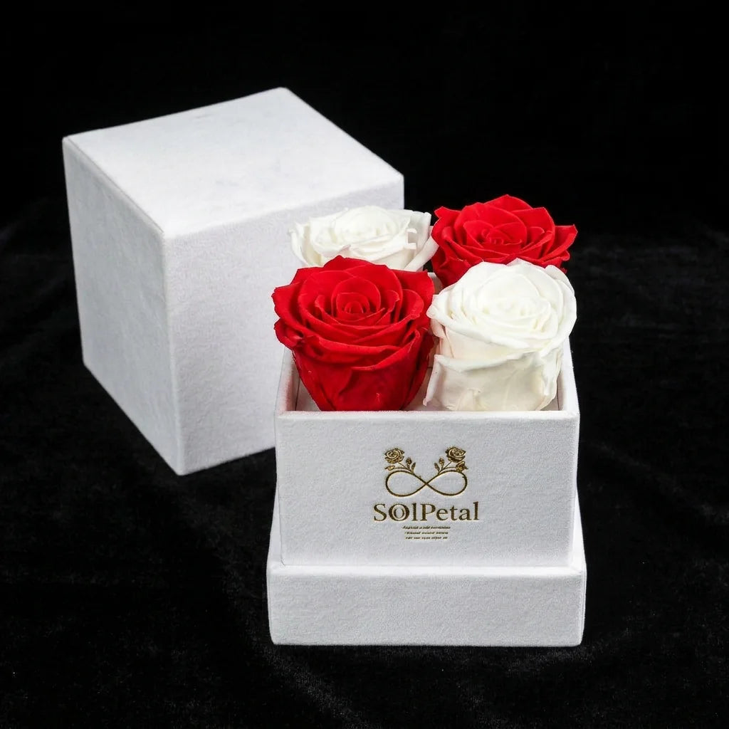 Eternal Roses - Petit Square