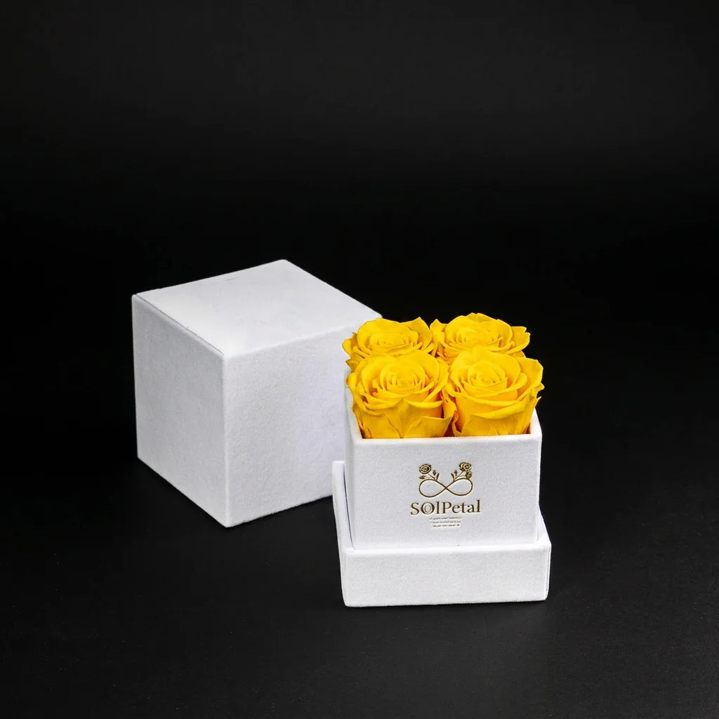 Eternal Roses - Petit Square