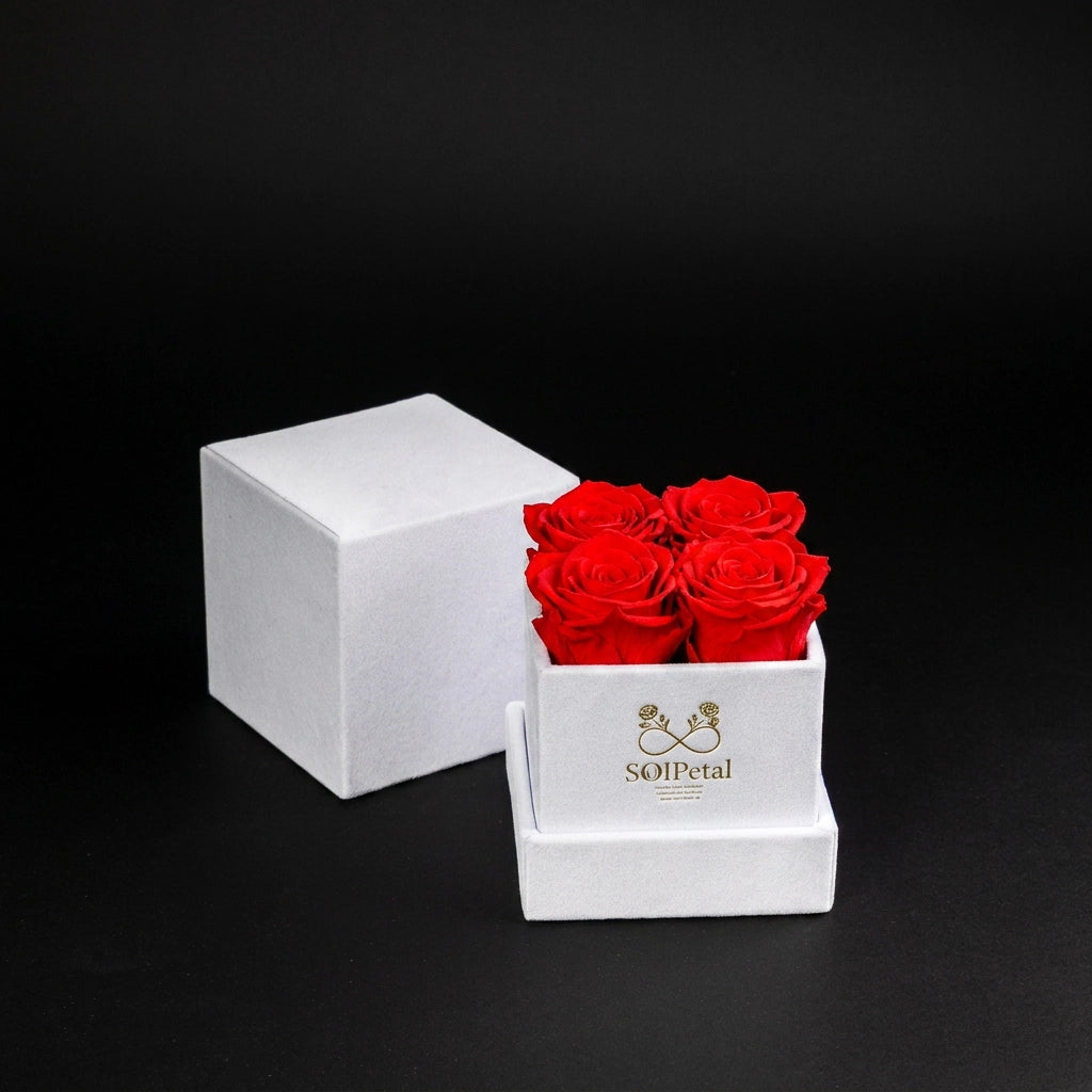 Eternal Roses - Petit Square